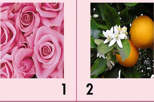 Trắc nghiệm: Năng lực nội tâm của bạn là gì?