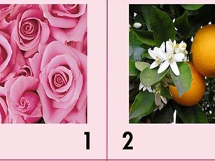 Trắc nghiệm: Năng lực nội tâm của bạn là gì?