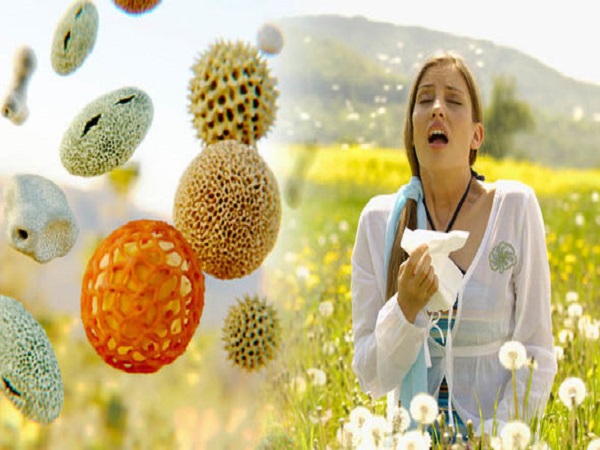 Cách chữa viêm mũi dị ứng hiệu quả nhất giúp bạn dễ chịu hơn