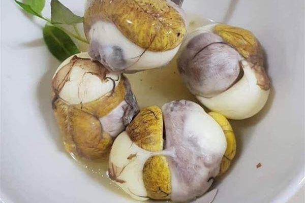 Trứng vịt lộn ăn rất tốt nhưng trẻ ở độ tuổi này tuyệt đối không nên ăn kẻo hại thân