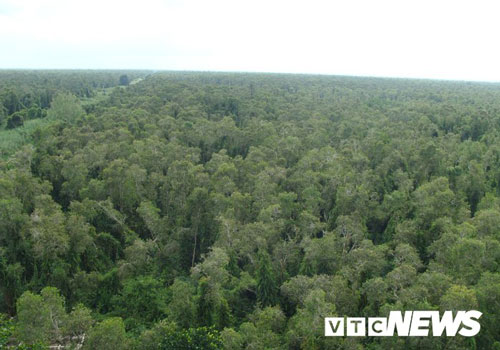 'Vương quốc rắn khổng lồ' U Minh Hạ và những cuộc đụng độ khủng khiếp