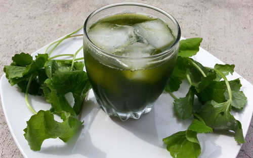 Uống nước rau má theo cách này, giảm cân an toàn, thấy ngay hiệu quả