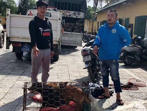 Thừa Thiên - Huế: Chủ quán thịt chó đi xe biển giả để câu trộm chó mèo