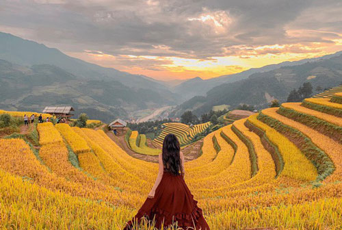 Ruộng bậc thang Mù Cang Chải vừa được công nhận Di tích Quốc gia đặc biệt, dự sẽ ngày càng hot trên bản đồ du lịch Việt