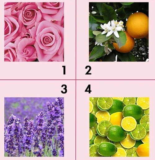 Bạn thích mùi hương của loài hoa/quả nào nhất dưới đây?