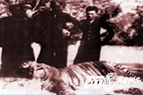 Rợn người chuyện "cọp ba móng" khoái món thịt người ở Đồng Nai