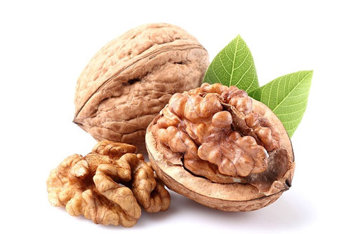 5 l&#x1EE3;i &#xED;ch kh&#xF4;ng ng&#x1EDD; c&#x1EE7;a s&#x1EEF;a h&#x1EA1;t &#xF3;c ch&#xF3;