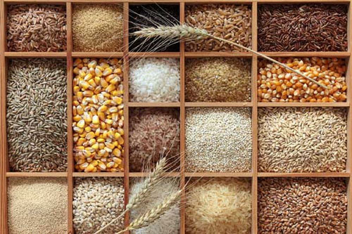 Top 10 loại ngũ cốc nguyên chất rất tốt cho sức khỏe