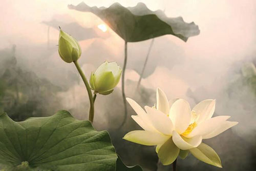 3 điều người tài giỏi thực thụ sẽ không bao giờ làm