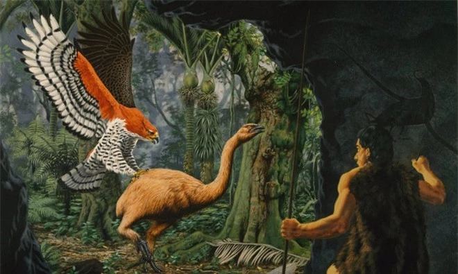 Loài người thật may mắn vì những loài chim ăn thịt khổng lồ này đã tuyệt chủng - Ảnh 6.