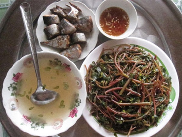 Loại rau trường thọ thế giới săn lùng nhưng mọc đầy ở Việt Nam, ai cũng nên ăn một lần - 1