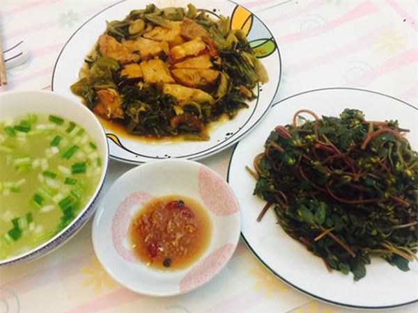 Loại rau trường thọ thế giới săn lùng nhưng mọc đầy ở Việt Nam, ai cũng nên ăn một lần - 7