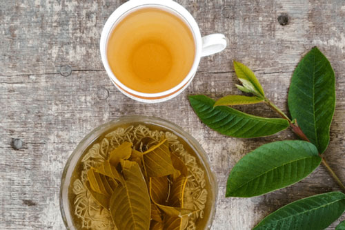 Bất ngờ với những công dụng đặc biệt của lá ổi