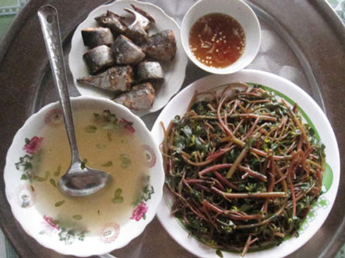 Loại rau 'trường thọ' thế giới săn lùng nhưng mọc đầy ở Việt Nam, ai cũng nên ăn một lần