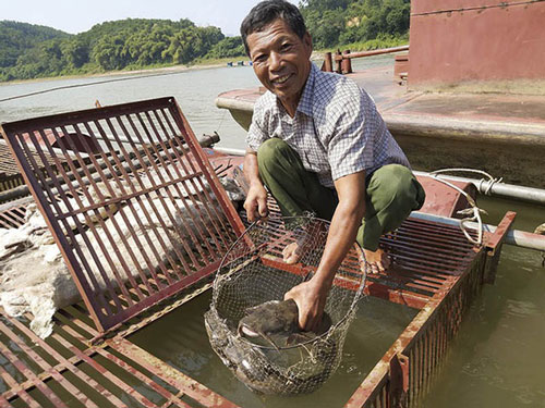 Ảnh minh họa: Dân trí.