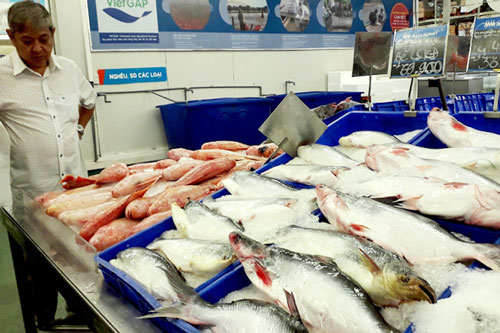 Cơ hội nào cho cá tra trên sân nhà?