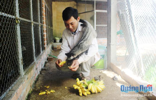 Qu&#x1EA3;ng Ng&#xE3;i: Ham nu&#xF4;i lo&#xE0;i nh&#xEC;n gh&#xEA;, b&#xE1;n gi&#x1ED1;ng 5-7 tri&#x1EC7;u/con