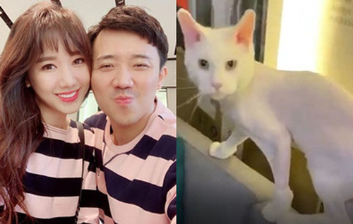 Hari Won khiến Trấn Thành sốc nặng, lập tức bị bắt "ra tòa" hỏi tội vì điều này