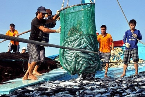 Xuất khẩu thủy sản theo chiều sâu