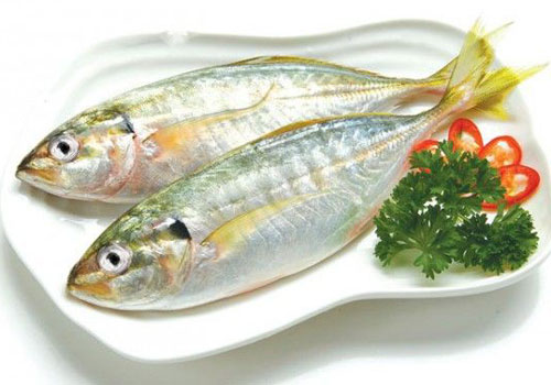 Sự thật thú vị về loài cá ba thú nổi tiếng ở Phú Quốc