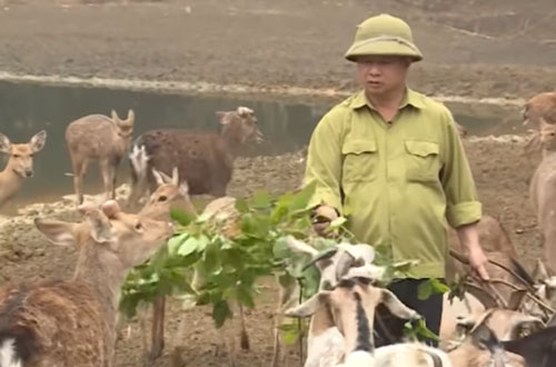 Ninh Bình: Thu chục tỷ đồng/năm nhờ nuôi con đặc sản