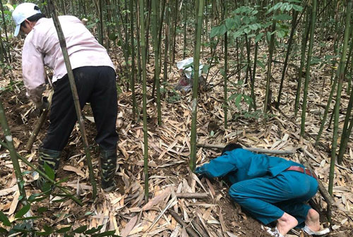 Những kỹ năng đặc biệt và kỳ công khó tưởng tượng để bắt được chuột khổng lồ