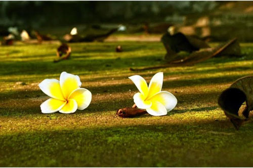 Khi có tiền 5 người không kết giao, khi khốn khó 5 người đừng cầu cạnh