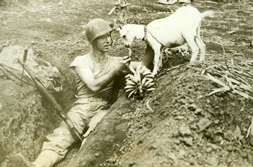 Khoảnh khắc nghỉ ngơi hiếm hoi của những người lính trong Thế chiến II