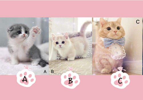 Trắc nghiệm: Điều người khác nghĩ về bạn nhưng không nói ra