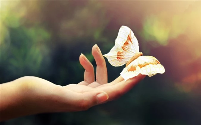 Giữa người với người, bước lại gần quá ắt sẽ làm nhau đau - Ảnh 4 Giữa người với người, bước lại gần quá ắt sẽ làm nhau đau - Ảnh 4