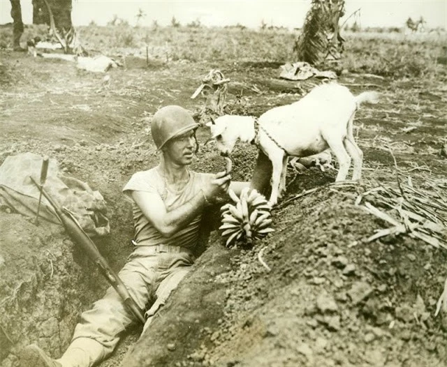 khoanh khac nghi ngoi hiem hoi cua nhung nguoi linh trong the chien ii hinh 8