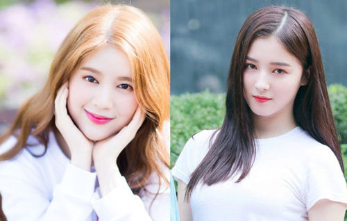 Thành viên của MOMOLAND nghi bị ép ăn giòi tố công ty lừa đảo, Nancy phải chi hàng trăm triệu mới được ra mắt