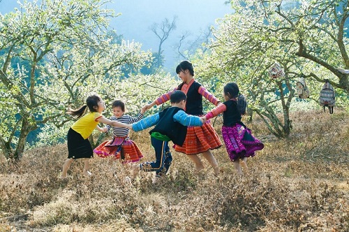 Gợi ý 5 hành trình đi dọc Việt Nam đón Tết Nguyên đán