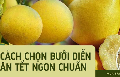 Cùng nghe người bán bưởi Diễn nhiều năm kinh nghiệm mách 6 mẹo nhỏ giúp chọn bưởi ăn Tết 10 quả thơm ngọt như 10