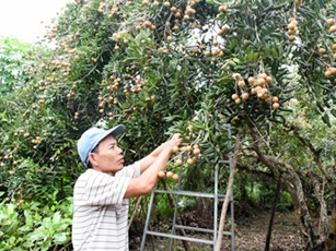 Sản xuất sạch để đưa nhãn xuất ngoại