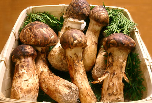 Những loại rau củ quả đắt nhất thế giới, nhà giàu cũng không dám ăn