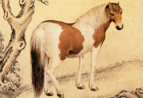 Tổng quan tử vi Ngọ, Mùi, Thân năm Canh Tý: Mùi nhiều tiền, Ngọ lắm cơ hội trong công việc