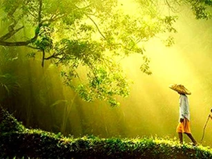 Làm người phải nhớ: Lương thiện cần có chừng mực, hào phóng cũng phải có nguyên tắc