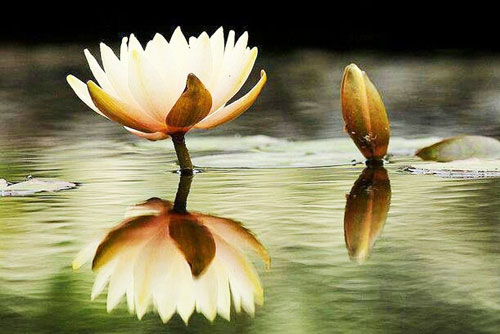 5 điều ai cũng phải trải qua trong đời: Hoang mang làm gì, hãy cứ bình tĩnh mà đón nhận