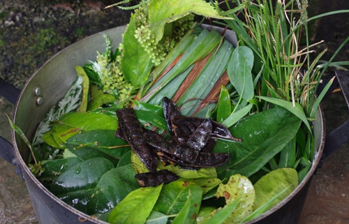 Cách nấu nồi lá xông hơi đúng chuẩn để trị cúm, giải cảm tại nhà