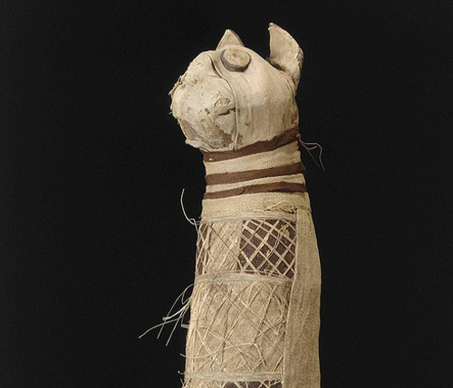 Xác ướp mèo Ai Cập cổ đại có 3 đuôi, 5 chân sau