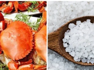 4 thực phẩm tưởng bổ nhưng "độc hơn thạch tín" với trẻ, nhiều mẹ vẫn vô tư cho ăn