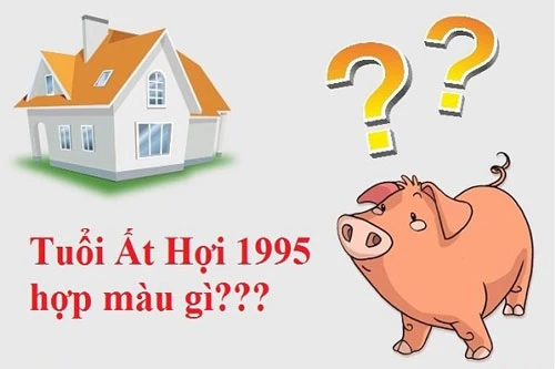 Ảnh minh họa Ảnh minh họa