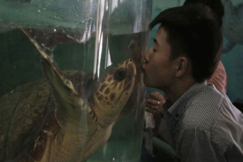 Điều kỳ lạ bên trong vườn bách thú Bình Nhưỡng