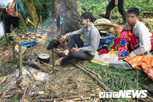 ‘Vương quốc’ của loài lợn rừng ẩn hiện như ma trên nóc nhà Đông Dương