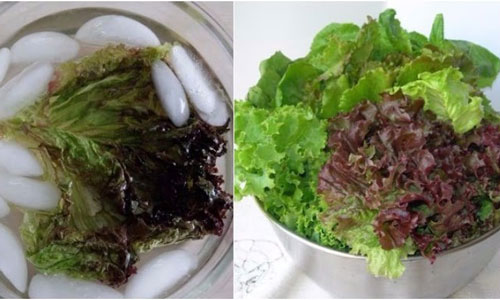 Loại gia vị quen thuộc có thể hô biến rau héo trở thành tươi rói, chị em đã biết chưa