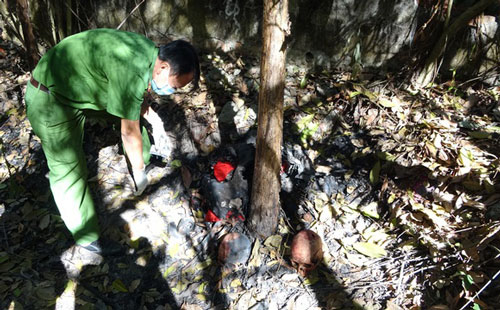 Vụ phát hiện 9 hài cốt ở Tây Ninh: Tưởng gáo dừa nhưng hóa ra sọ người!