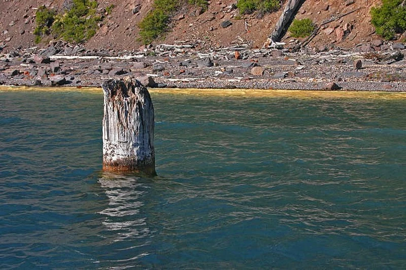 Thân cây kỳ lạ có tên The Old Man of the Lake có thể điều khiển, kiểm soát thời tiết ở địa phương. Thân cây kỳ lạ có tên The Old Man of the Lake có thể điều khiển, kiểm soát thời tiết ở địa phương.