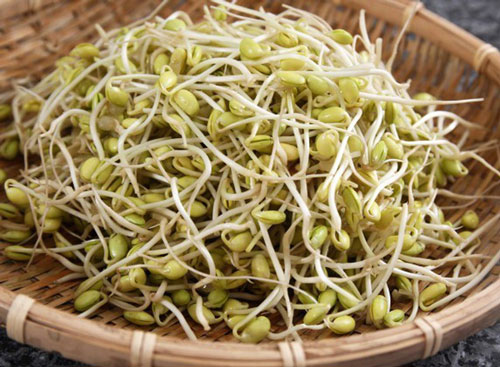 Clip: Bí quyết làm giá đỗ an toàn cho ngày Tết