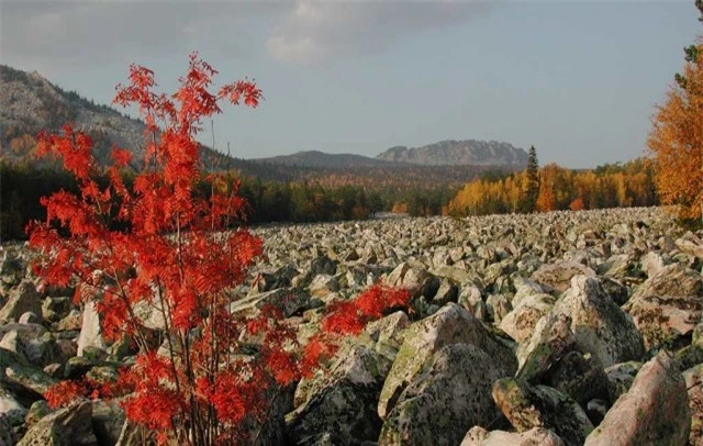 Tại khu vực núi Taganay, phía nam dãy Ural thuộc vùng Chelyabinsk Oblas, Nga, có một con sông kỳ lạ, gọi là dòng sông đá.